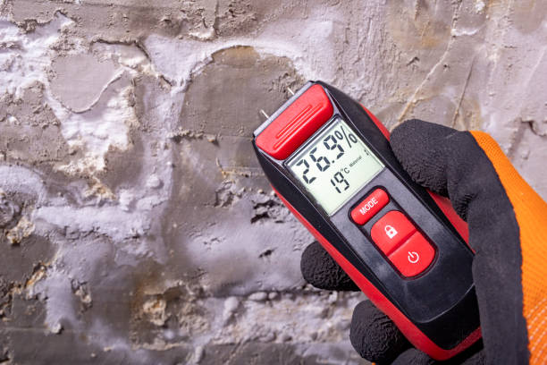 Best Health and Safety Mold Remediation in Mabank, TX